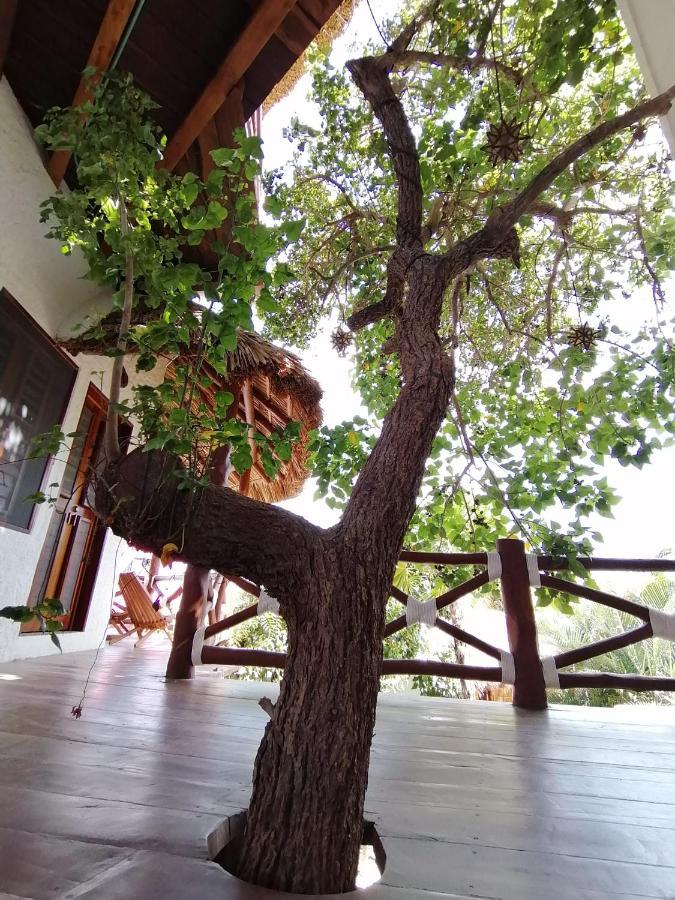 Casa Mech Hotel Isla Holbox Exterior photo